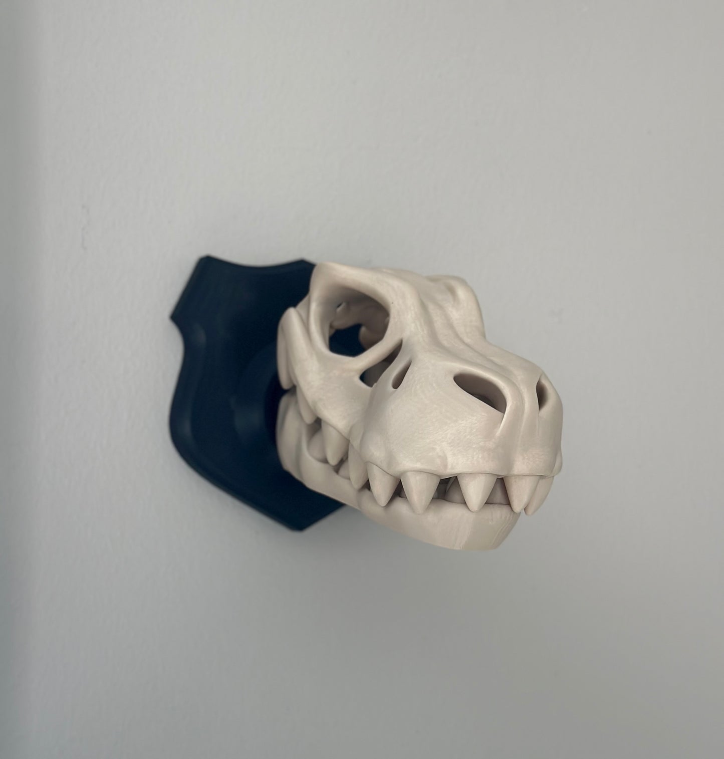 T-Rex Dinosaur Skeleton Head Mount with Bone