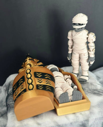 Mummy and Sarcophagus