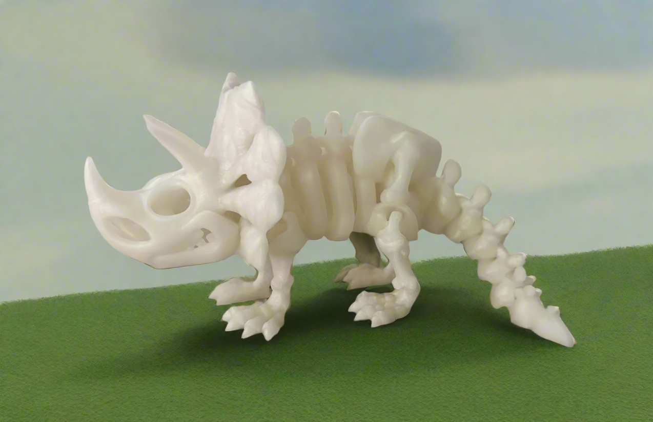 Triceratops Skeleton Dinosaur